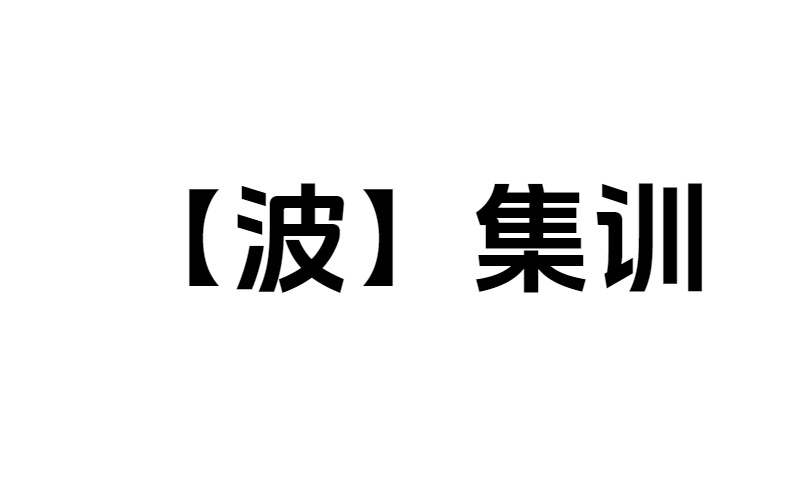 【波】集训